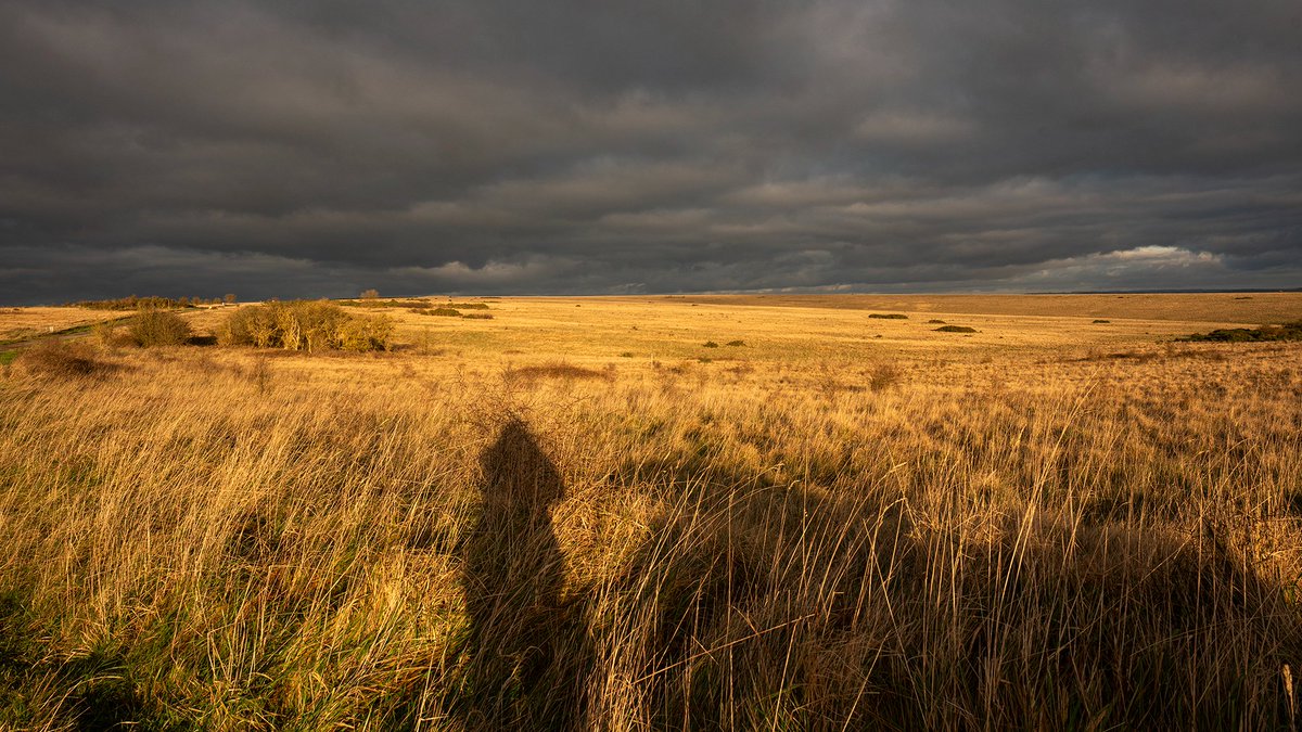The sun came out! So exciting, I don't even care that I'm in the photo :) Salisbury plain grassland at Black Heath.
