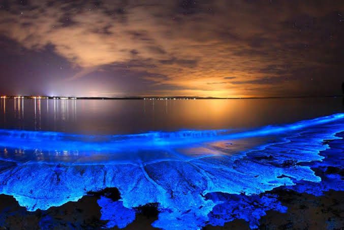 This happens only at Indian Beach, not the Maldives The Bangram Beach at Lakshadweep Glows In The Dark ♥️ Keep following us and supporting Lakshadweep #ExploreIndianIsland