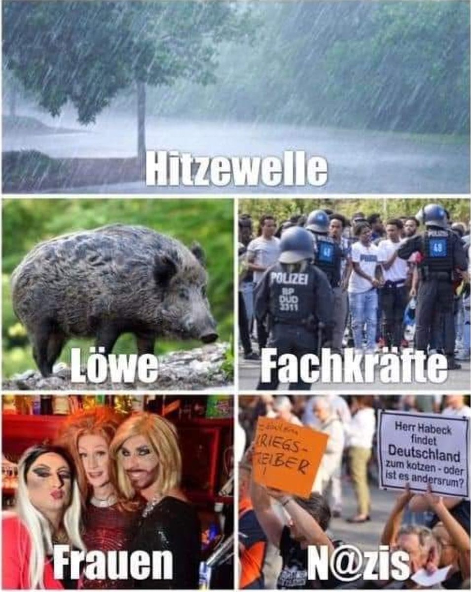 Janine38270960's tweet photo. Jahresrückblick 2023 😂😂👇😁 https://t.co/8KZWTTkzXf
