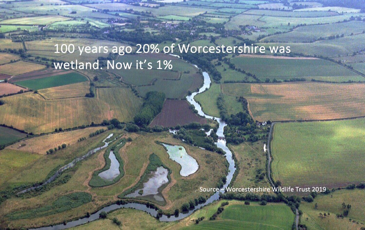 DaveThroup's tweet photo. Land use changes have been dramatic in the last couple of generations.

My county used to have large expanses of wetlands, principally along river corridors. No more.

Combine these changes with more and heavier rainfall and it’s little surprise flooding is becoming much worse. https://t.co/gJcpZ6pLuF