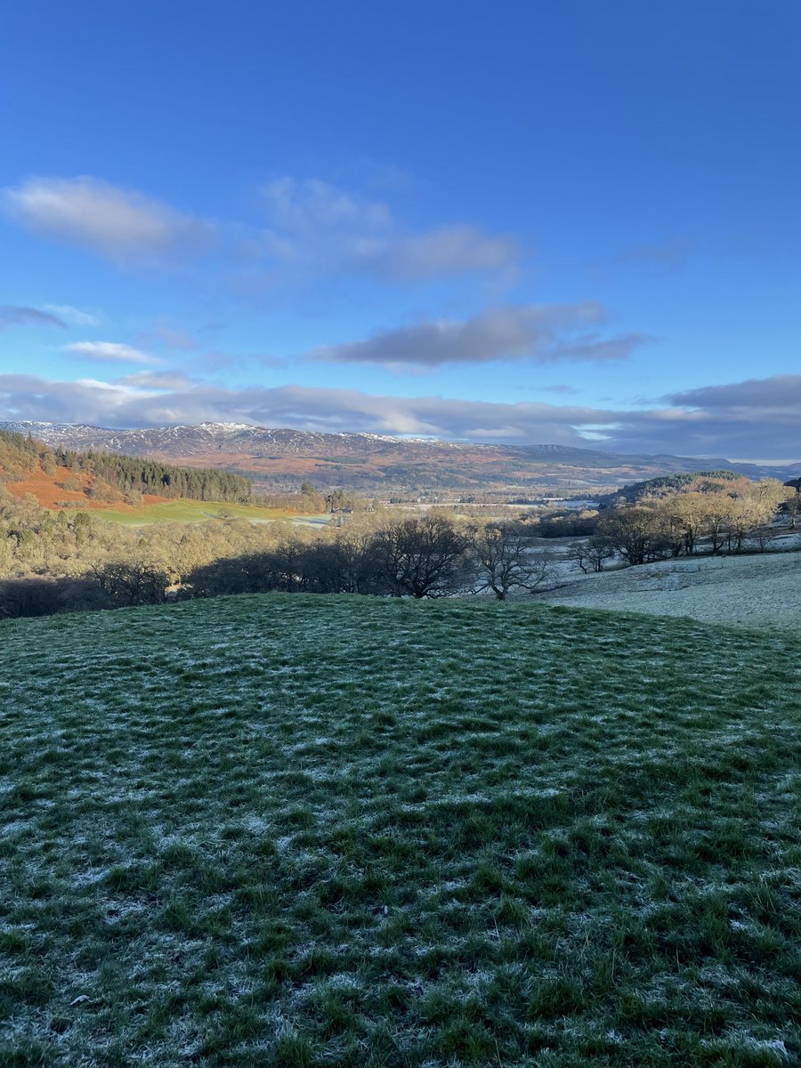 bravo10_4's tweet photo. Great walk with the dogs at Comrie today with Ben Chonzie basking in the winter sun.
#bonnieview https://t.co/m25lcbfyaH