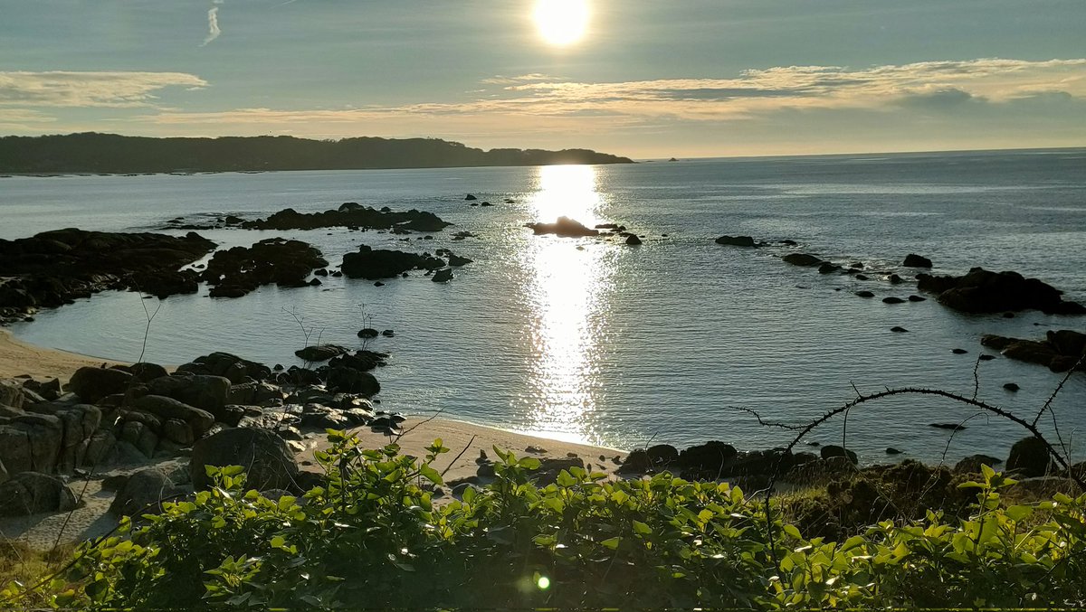 Fantástico día de enero.