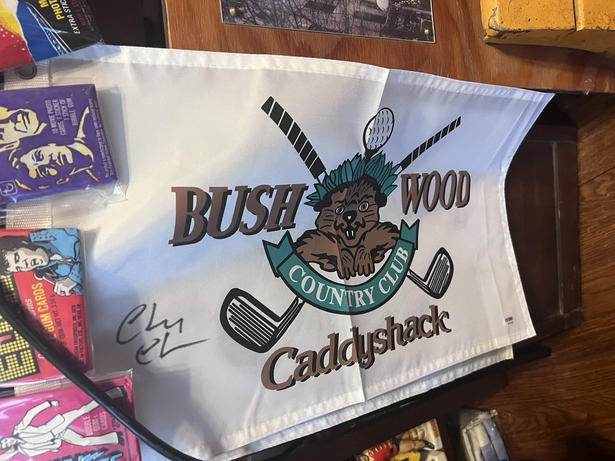 bpmacphee's tweet image. “I bet you've got a lot of nice ties, would you like to tie me up with some of your ties, Ty?” #RSIO