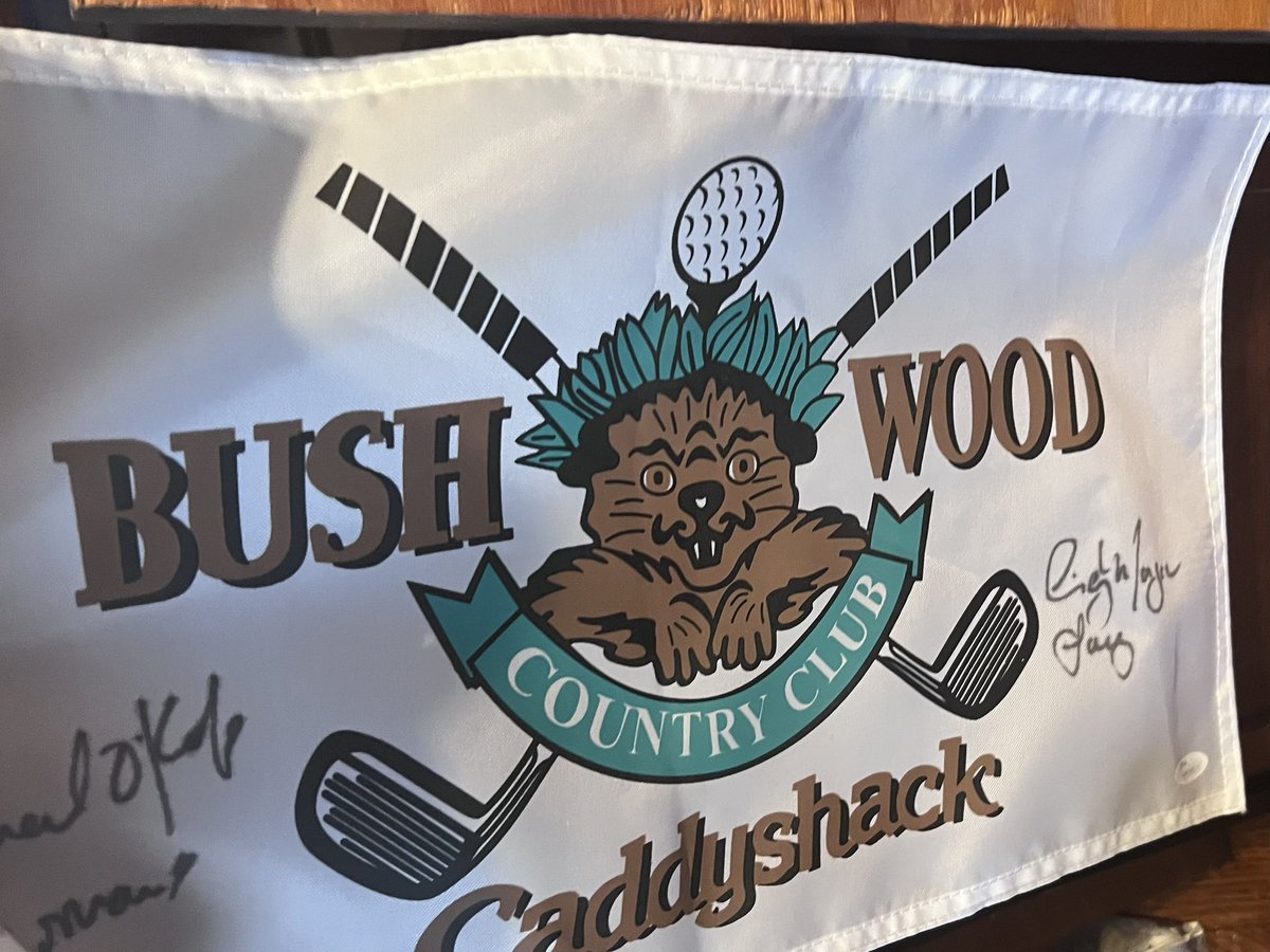 bpmacphee's tweet image. “I bet you've got a lot of nice ties, would you like to tie me up with some of your ties, Ty?” #RSIO