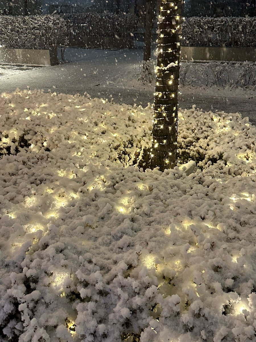 [070124] 🦁🫧

- É lindo, não é?!!
- A neve caiu em mim por um momento e eu quase virei um boneco de neve
- Minhas mãos estavam congelando então eu nem consegui pensar em fazer um boneco de neve haha