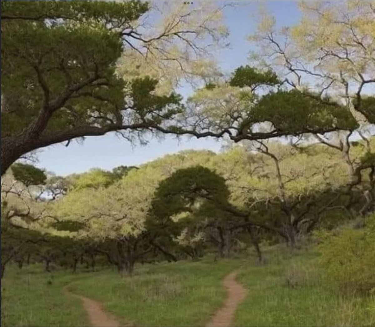 Visual Reorientation Illusions (VRIs) tweet media