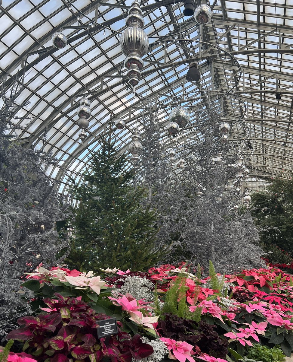 The time has come to say goodbye to the dazzling display of Princess Poinsettias and Silver Spurflowers. The memories will live on but today is the last day to see Celebrating Silver! Book a free reservation to see Celebrating Silver one last time bit.ly/GPC-Visit