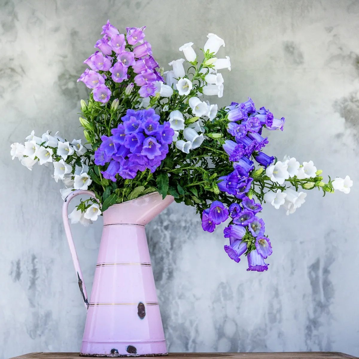 The Thought Emporium 🌻 tweet media