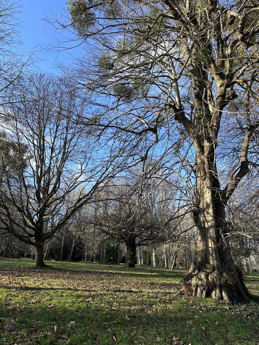 Mrs_Coram1's tweet photo. #teacher5aday #3aday

Lovely walk in the winter sunshine @PetworthNT as part of my #redjanuary 

Family time

Mr C cooking a roast dinner! https://t.co/Jmigjq3aUf