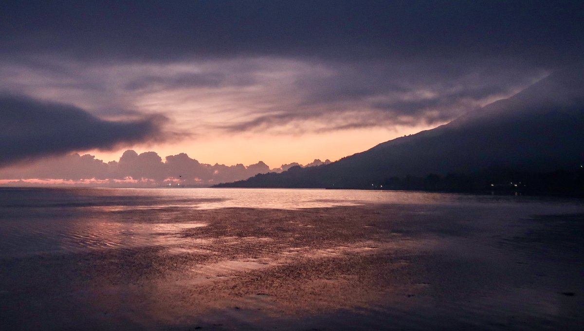 Pre sunrise glow before the mist rolled in this morning
#carlingfordlough #omeath