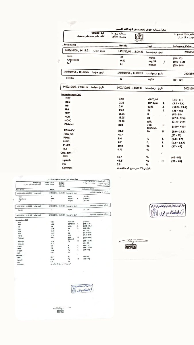 Melika_Shafinia_eb tweet media