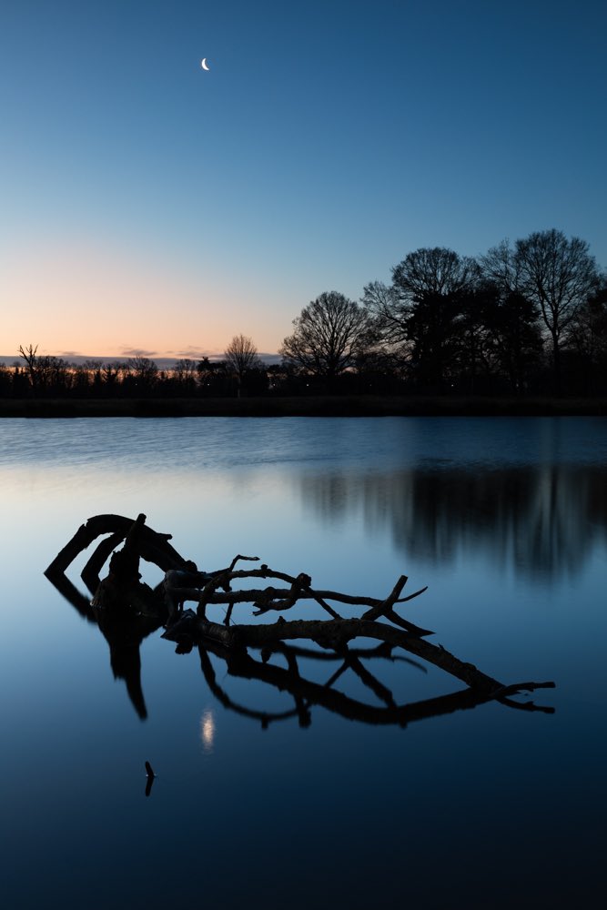 Clear and cold in Bushy Park this morning! #bushypark #Sunrise #crescentmoon #StormHour #landscapephotography @SallyWeather @StormHour @theroyalparks @TeddingtonNub