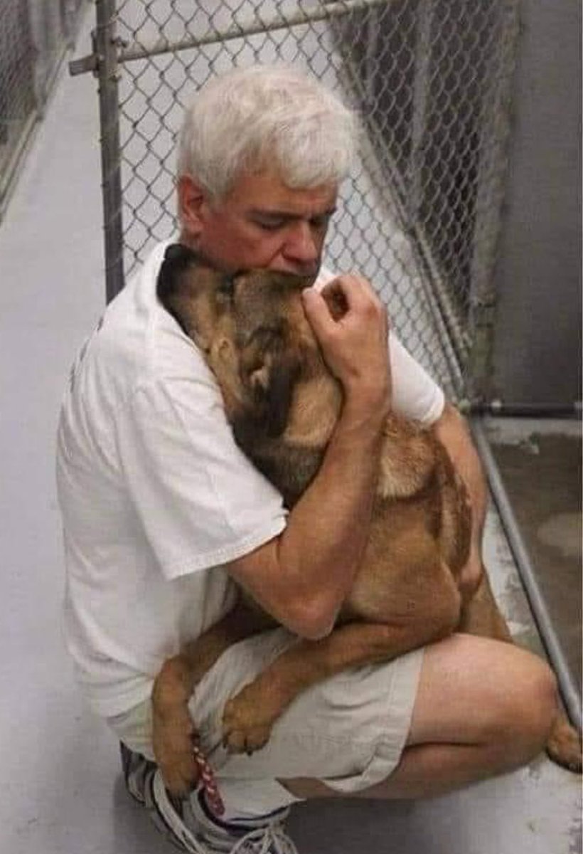 “Başkalarının acılarına kalbi kapalı olanlar, onların çığlıklarını duyamazlar. Ne yazık ki acıyı deneyimlemedeki yetersizlikleri aynı zamanda sevgiyi deneyimleme yeteneklerini de sınırlıyor. 
Yaşamın karması bir şekilde onlara yolu gösterecektir…”

Işıltınıza sahip çıkın!..