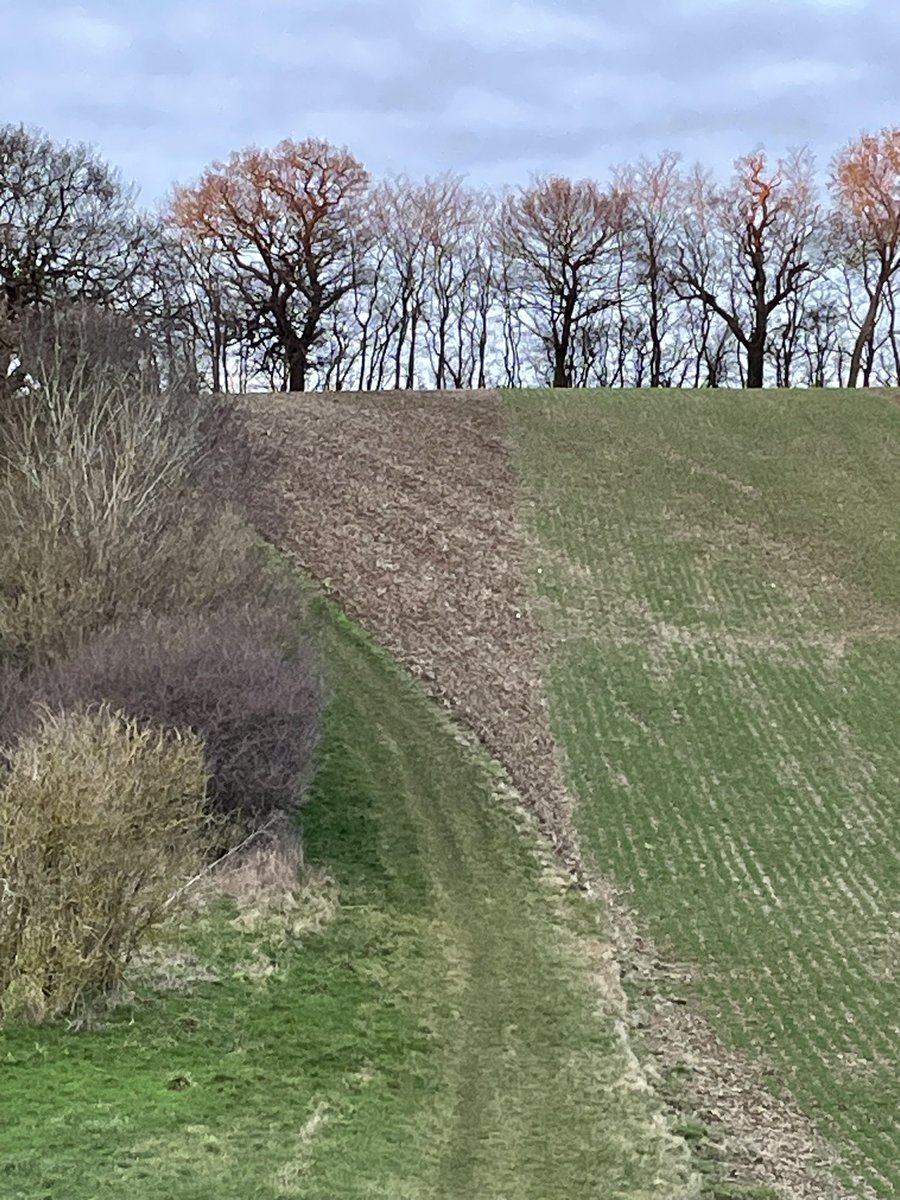 I think some farmhand is going to lose their job when the farmer sees this. Didn’t know <a href="/JeremyClarkson/">Jeremy Clarkson</a> was outsourcing his skills here in Hertfordshire. 😂😂 @diddlysquatshop