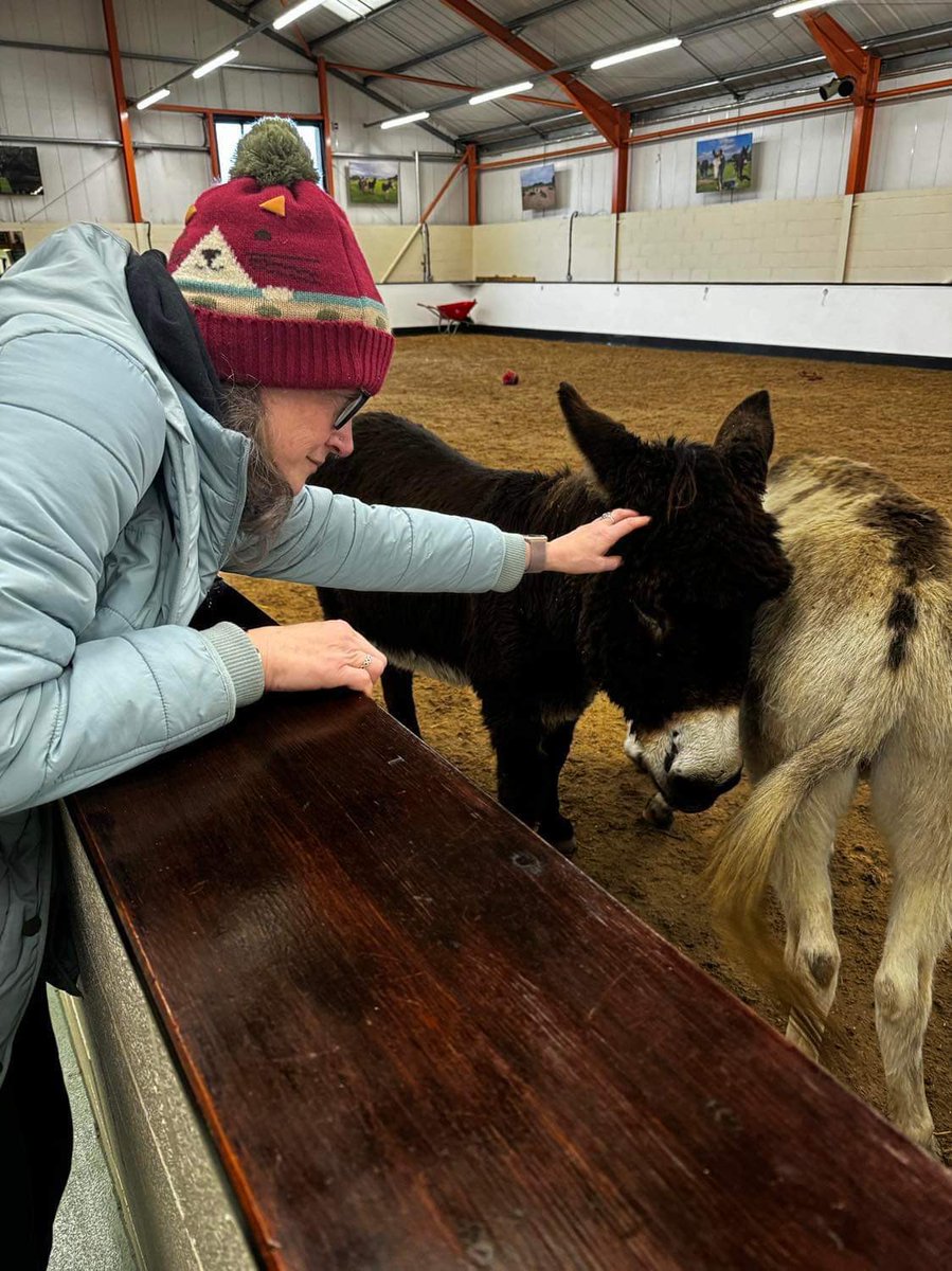 Dr Annabelle James (@ajteesuni) on Twitter photo Lovely to meet my adopted donkey Harbin and his friends at <a href="/DonkeysLeeds/">The Donkey Sanctuary Leeds</a> today 🫏 ❤️ Lovely to meet my adopted donkey Harbin and his friends at <a href="/DonkeysLeeds/">The Donkey Sanctuary Leeds</a> today 🫏 ❤️