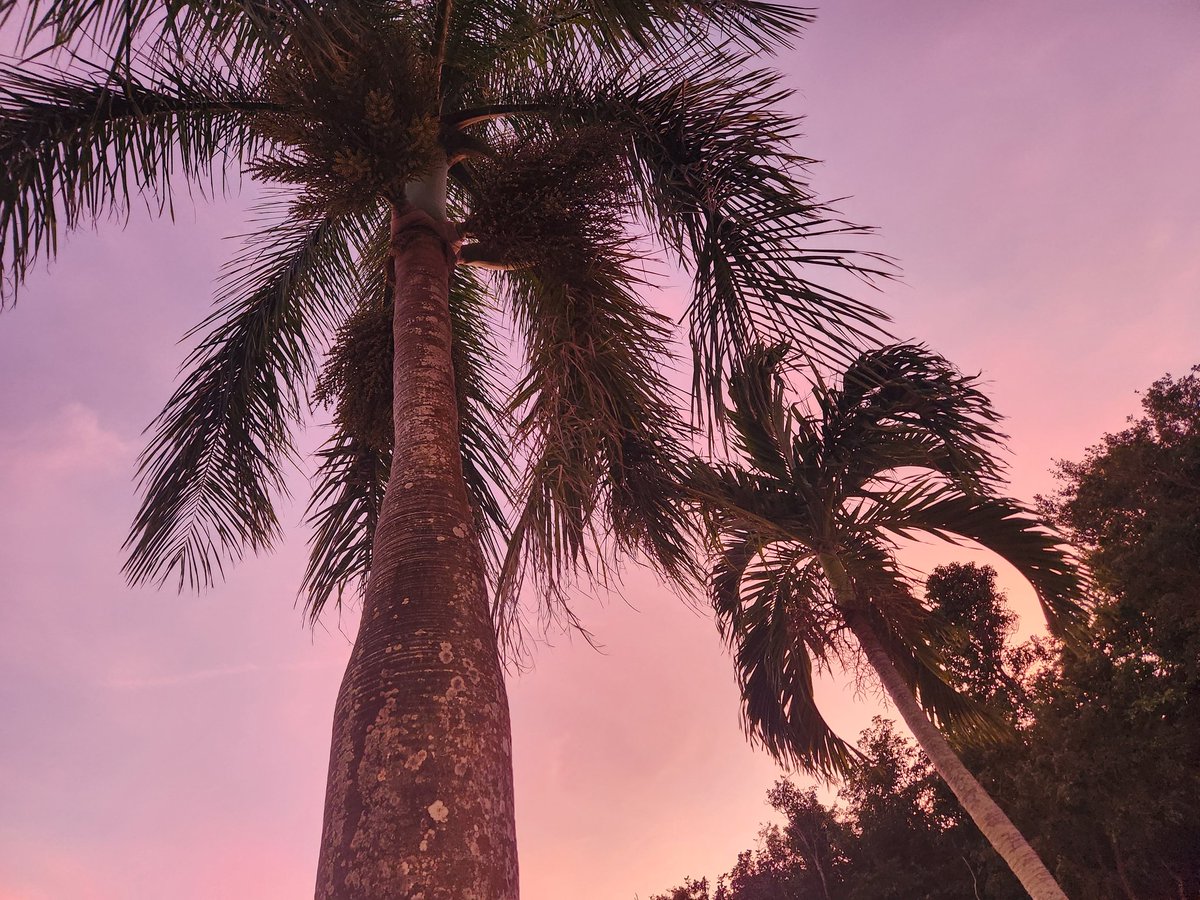 Real_NateWhite's tweet photo. Island Time. https://t.co/IZed9Kx3Wr