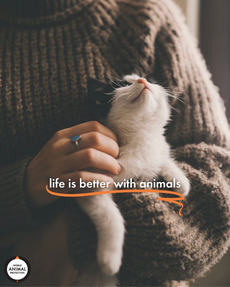Life is simply better with animals. 🧡