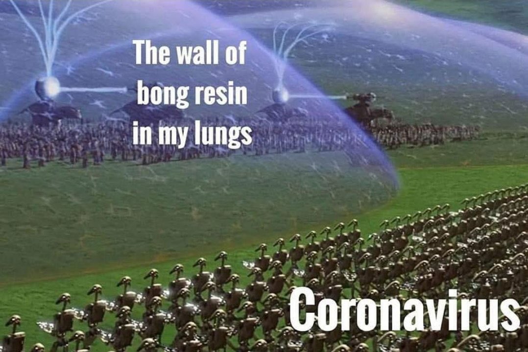 adgodev's tweet image. Omg the meme is (kinda) real