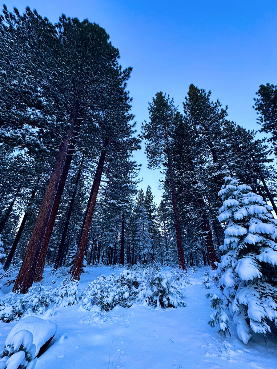 Alan Heathcock tweet media