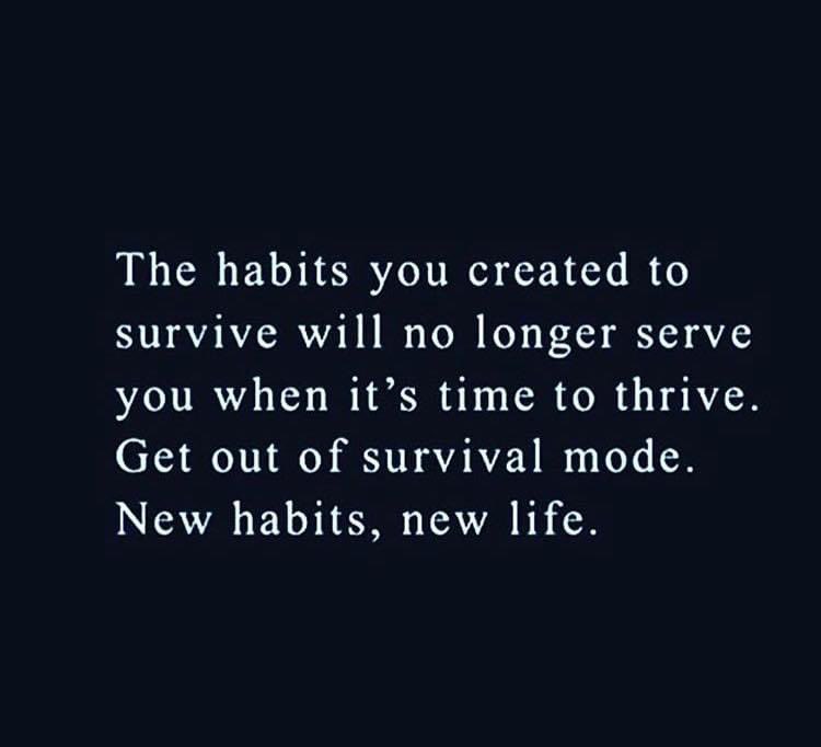 ShivelyThe's tweet photo. I would have said Happy New Year last week, but I‘ve been sick. Hope your year has been good so far. #newhabitsnewlife https://t.co/Gfe63sro8T