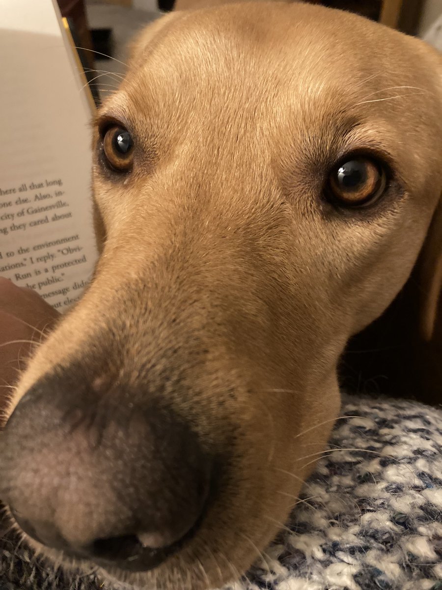 I keep getting distracted <a href="/1pcornwell/">Patricia Cornwell</a> I am still trying to finish #unnaturaldeath !