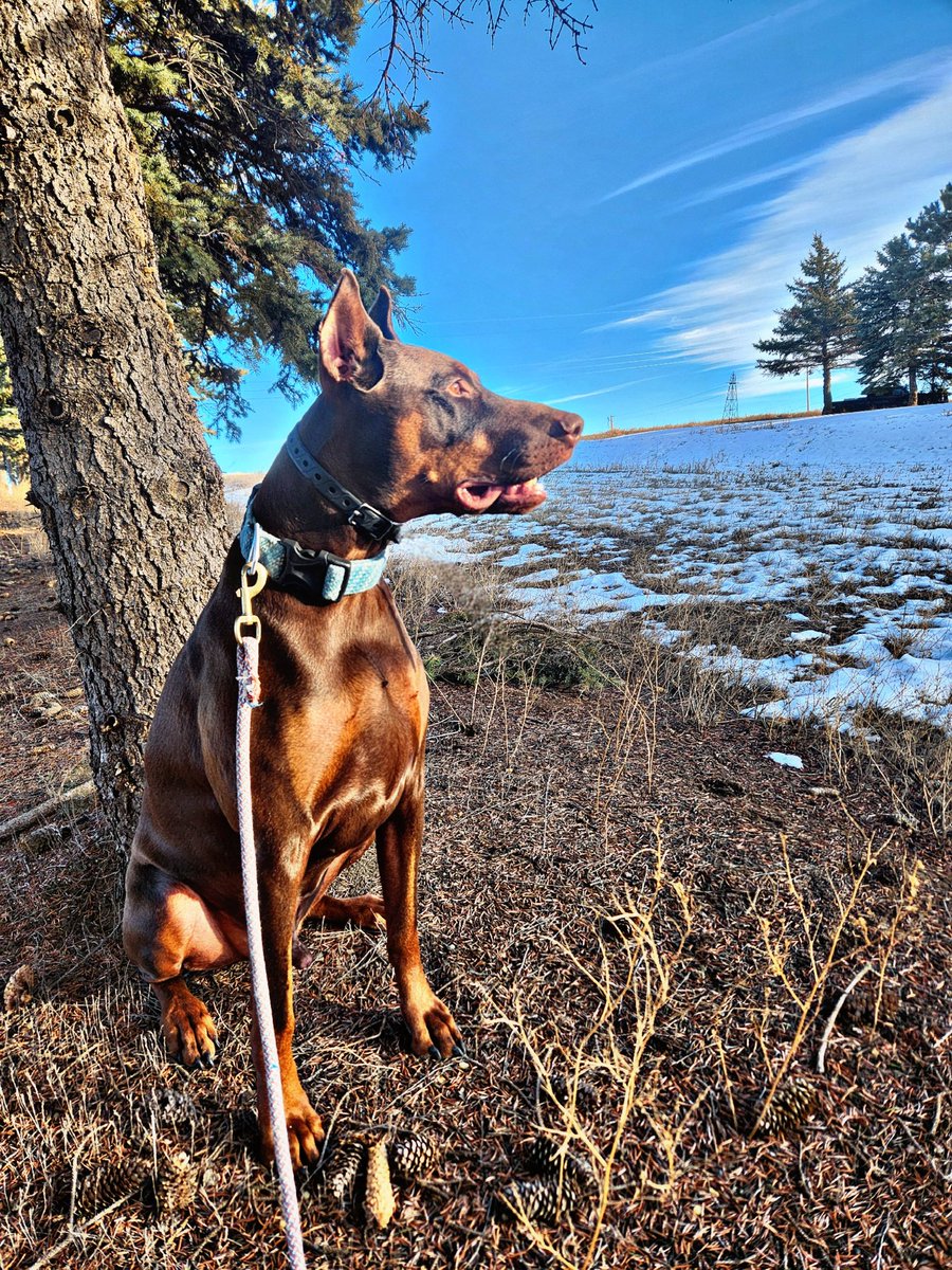 🎩 Truth In The Source tweet media