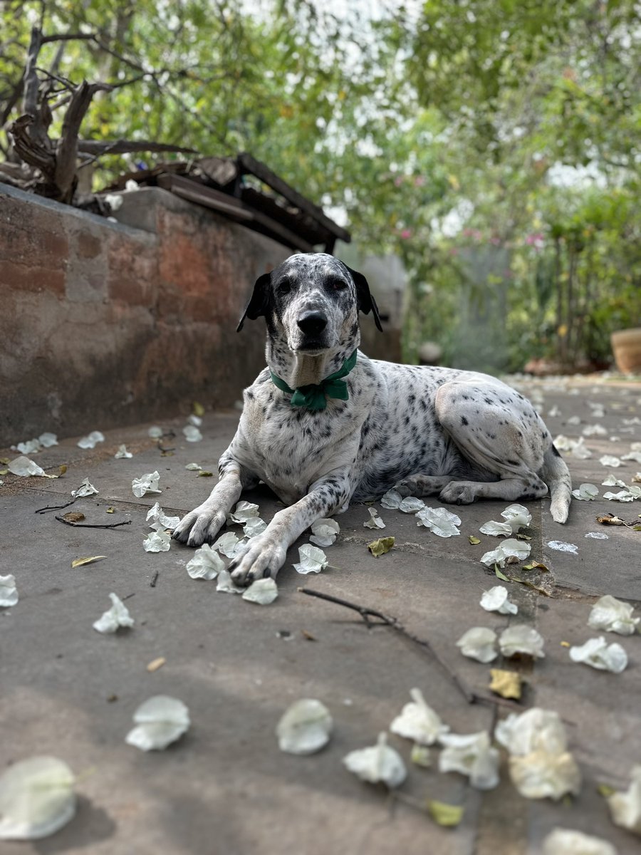 “There's never enough time to do all the nothing you want…”
(Same spot, half a day apart, somewhere in Andhra)