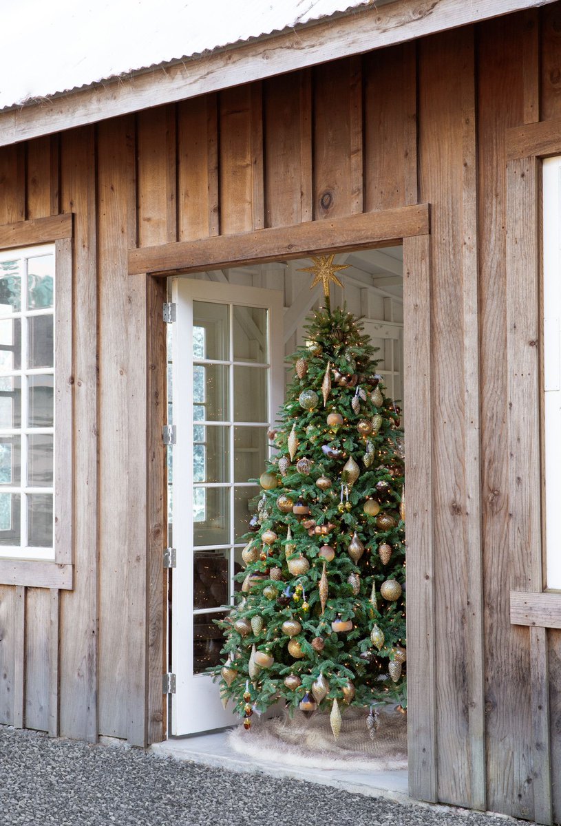 Now is the best time to buy that tree you've been dreaming of. 🎄

Extra $50 off orders $350+ when you use the code 𝗖𝗛𝗘𝗘𝗥𝗦𝟮𝟬𝟮𝟰 on checkout! bit.ly/3txZxwZ