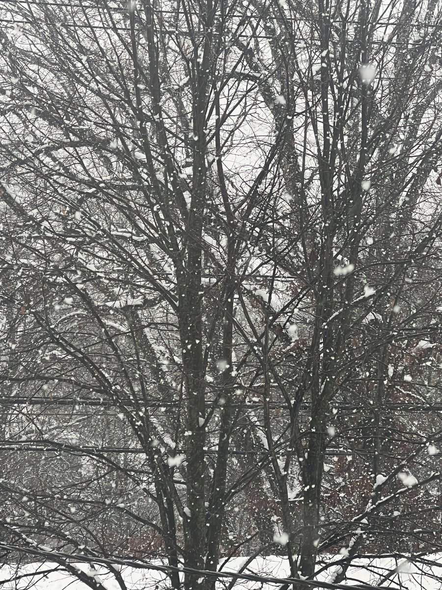 NoBuzzJoe's tweet image. Coming down moderately and quite breezy along with it. Been snowing for 1.5-2 hours this am.

Nice, dry backend snow after the overnight concrete.

#njwx
#snow
