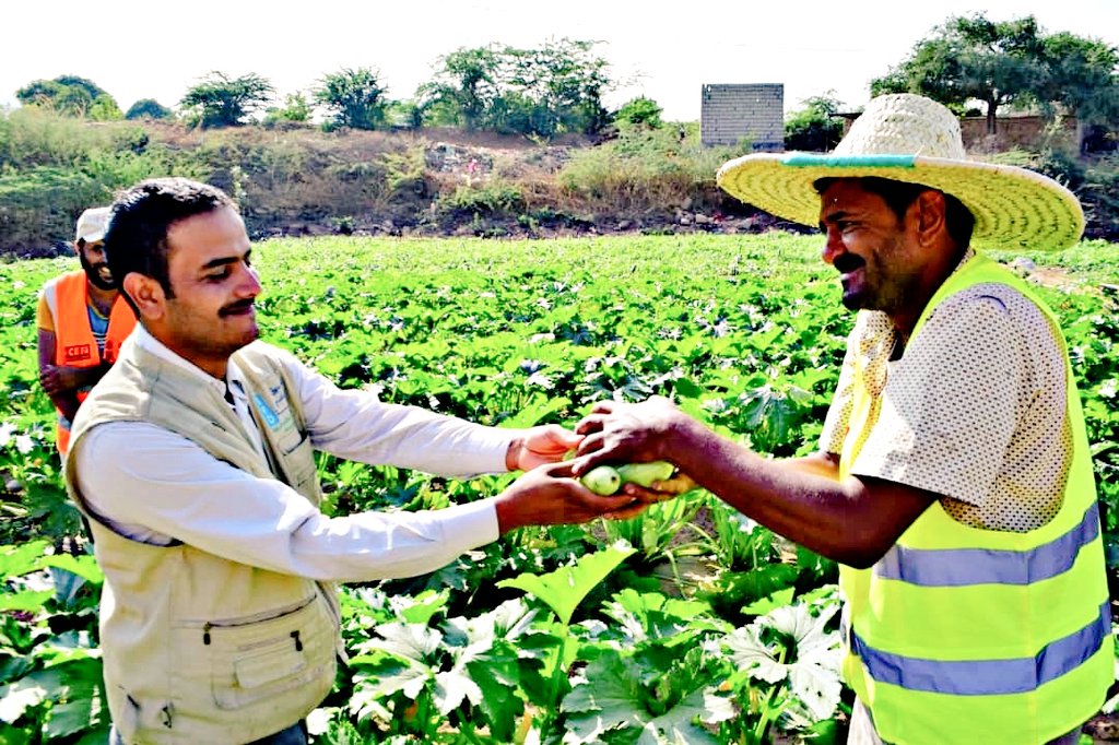 SFDYemen's tweet photo. We provide small-scale farmers in Wisab Alsafil with technology &amp; knowledge intending a transformative IMPACT of productivity rise &amp; food safety #Dhamar.

The FSSFS project contributes to the health, income &amp; wellbeing of communities with fund fm @IFAD thru #cefa

#YemenCantWait https://t.co/mb9de3AmXD