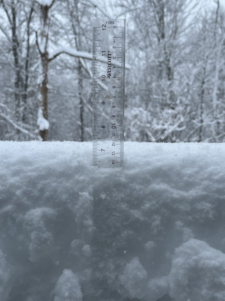 JenAshworth's tweet photo. 7” and climbing on the Douglas/Uxbridge line. #Massachusetts #firstsnowstorm2024 #WeatherUpdate https://t.co/k9KMFmKTUC