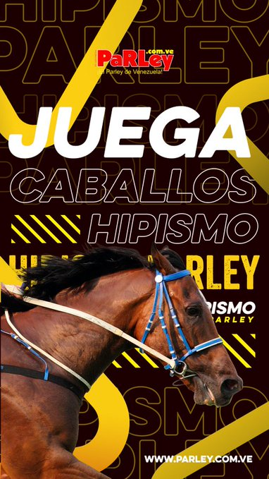 HIPICATOTAL_USA's tweet photo. #RecuerdaHoy #7Ene también hay Polla Hípica en https://t.co/SxomZt7670 comenzando en la 5ta carrera de #GulfstreamPark 2:09 pm Premios actualizados (Bs) 1° 5250 2° 3500 3° 1750 Jackpot 30 puntos: 10500 Aprovecha la Recarga Inmediata!!
@ParleyEnLinea
Gente seria y responsable https://t.co/Mm6dTweavG