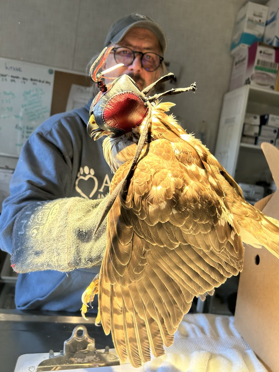 Alaqua Animal Refuge tweet media