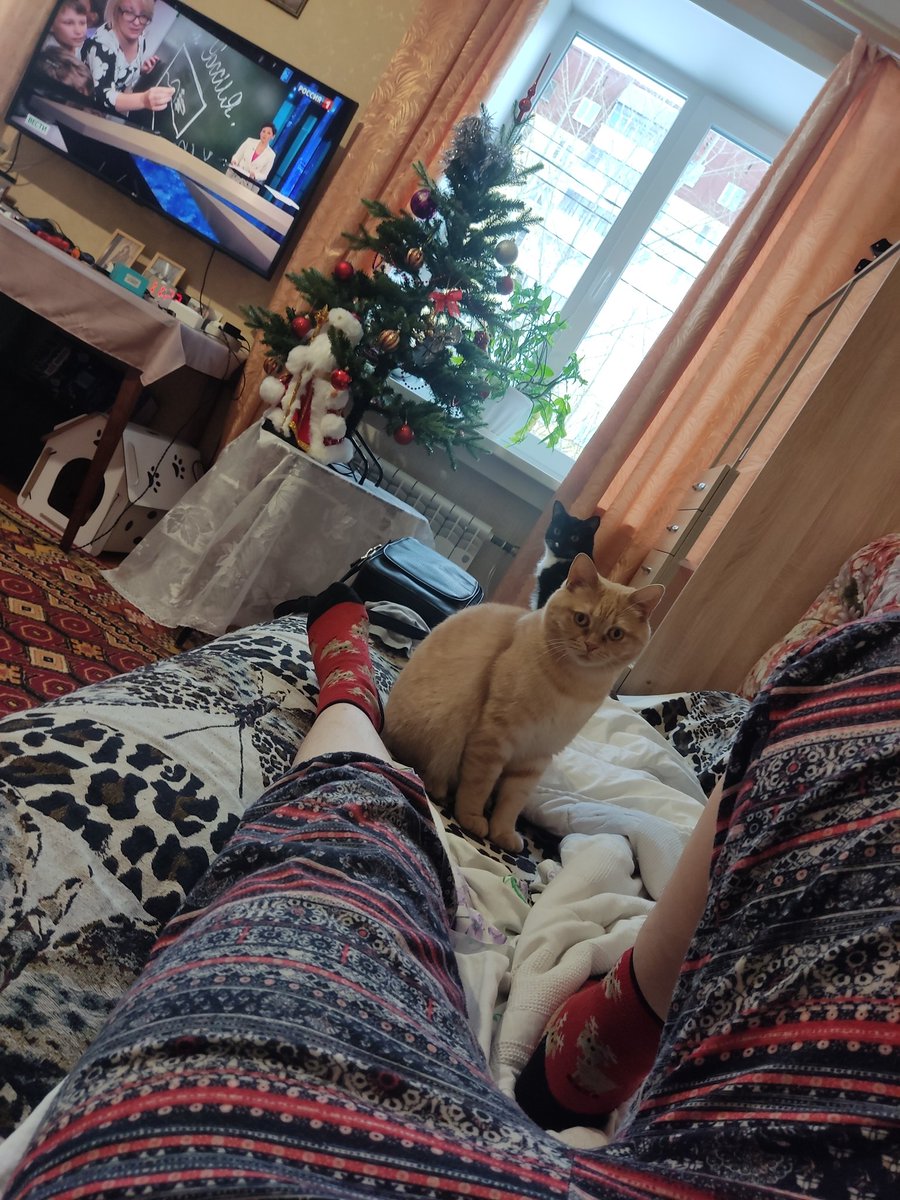 Так я встретил новый год :3