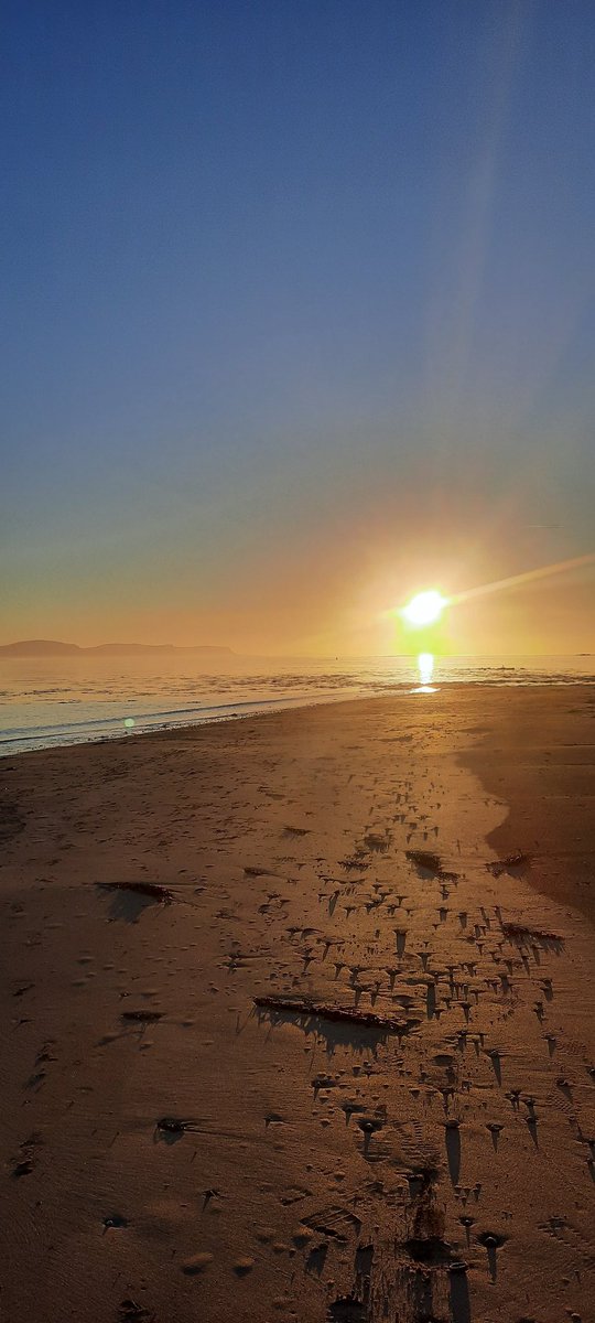 Dr. Nigel McKelvey tweet media