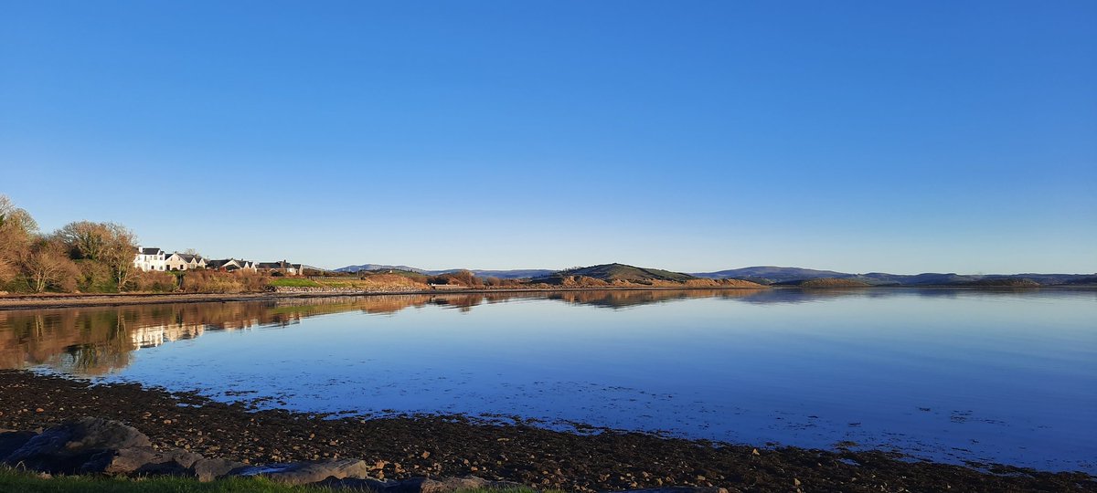 Dr. Nigel McKelvey tweet media