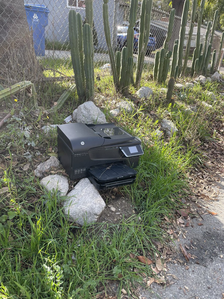 🌈Caroline Foley🐈 tweet media