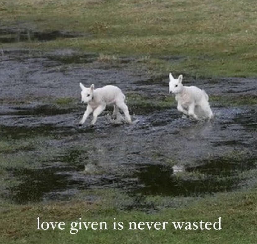 ✧ (@northstardoll) on Twitter photo 