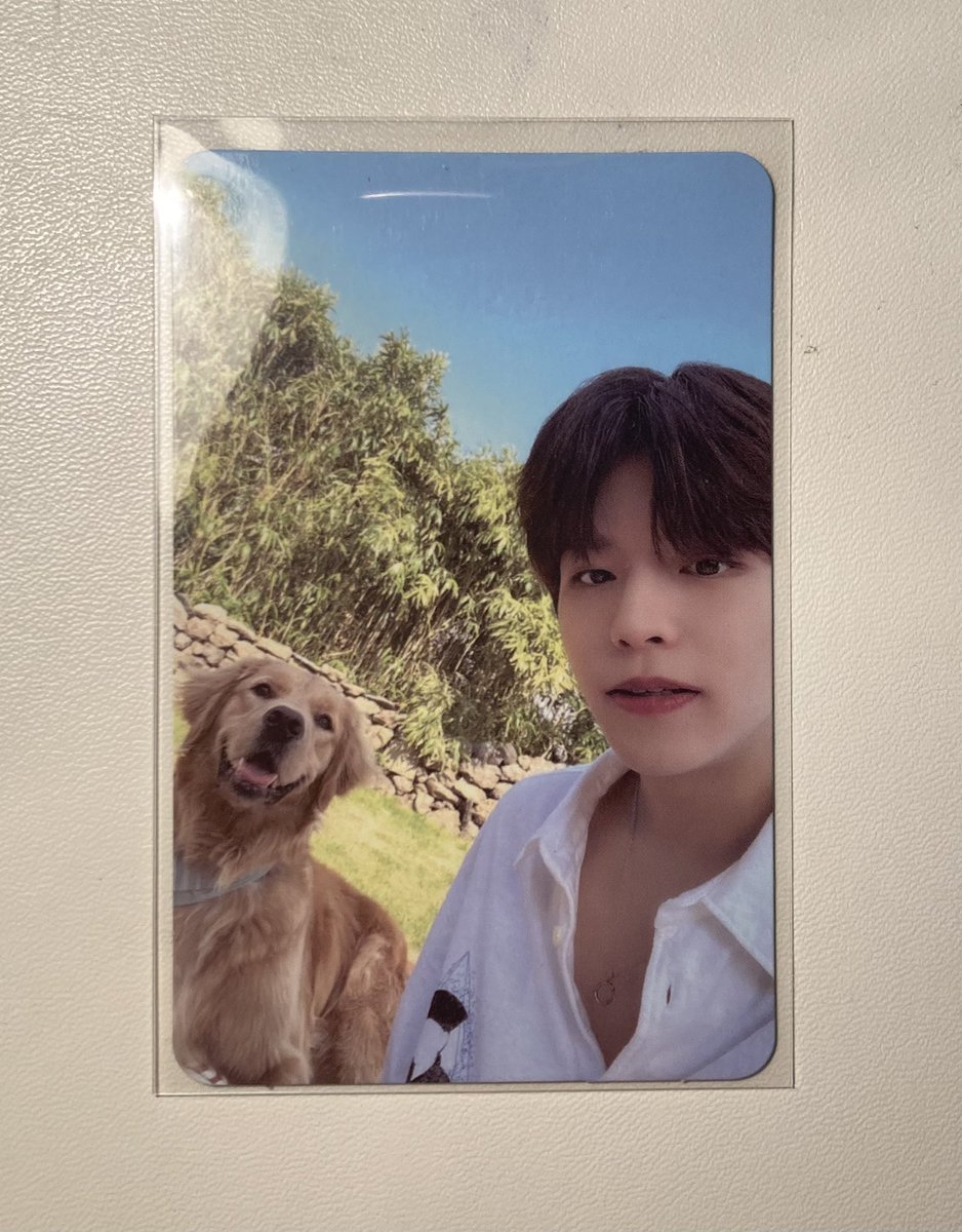 2mongmongg's tweet photo. uppp

🔹1500tl

ayirma yapabilirsiniz, taksit taksit ödeyebilirsiniz

rt lütfen 💓
#skzmarkettr #skzsatis #skzpcsatis @SKZTRadeSell @straykidstrade1 @skztradesellrt @trpctakas @skzselltrade @trpctakas @kpoptradeselltr https://t.co/dRjB3Jwuch