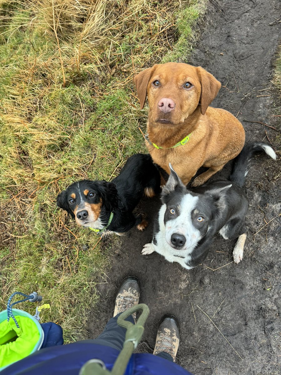 Miss Henery tweet media