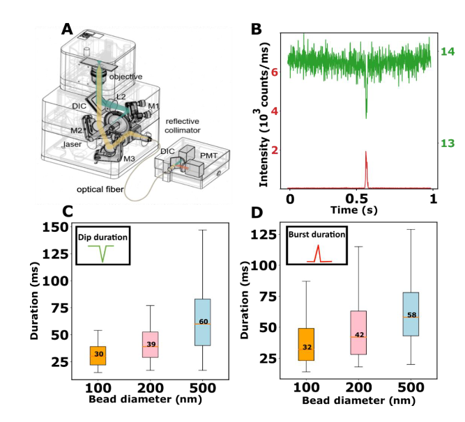 PSB_lab's tweet image. ... and our first application of Brick-MIC (counting viruses) with the Lerner lab at HUJ: biorxiv.org/content/10.110…