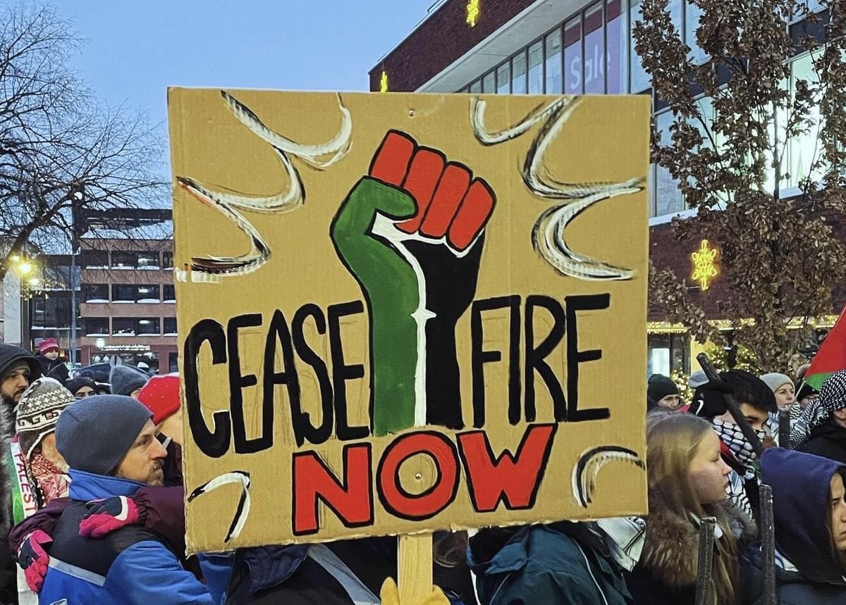 PalKomSfjord's tweet image. På søndag ettermiddag samlet det seg flere hundre mennesker i #Tønsberg for å vise solidaritet med #Palestina. Markeringen var en del av en verdensomfattende aksjon #Solidaritet #FreePalestine