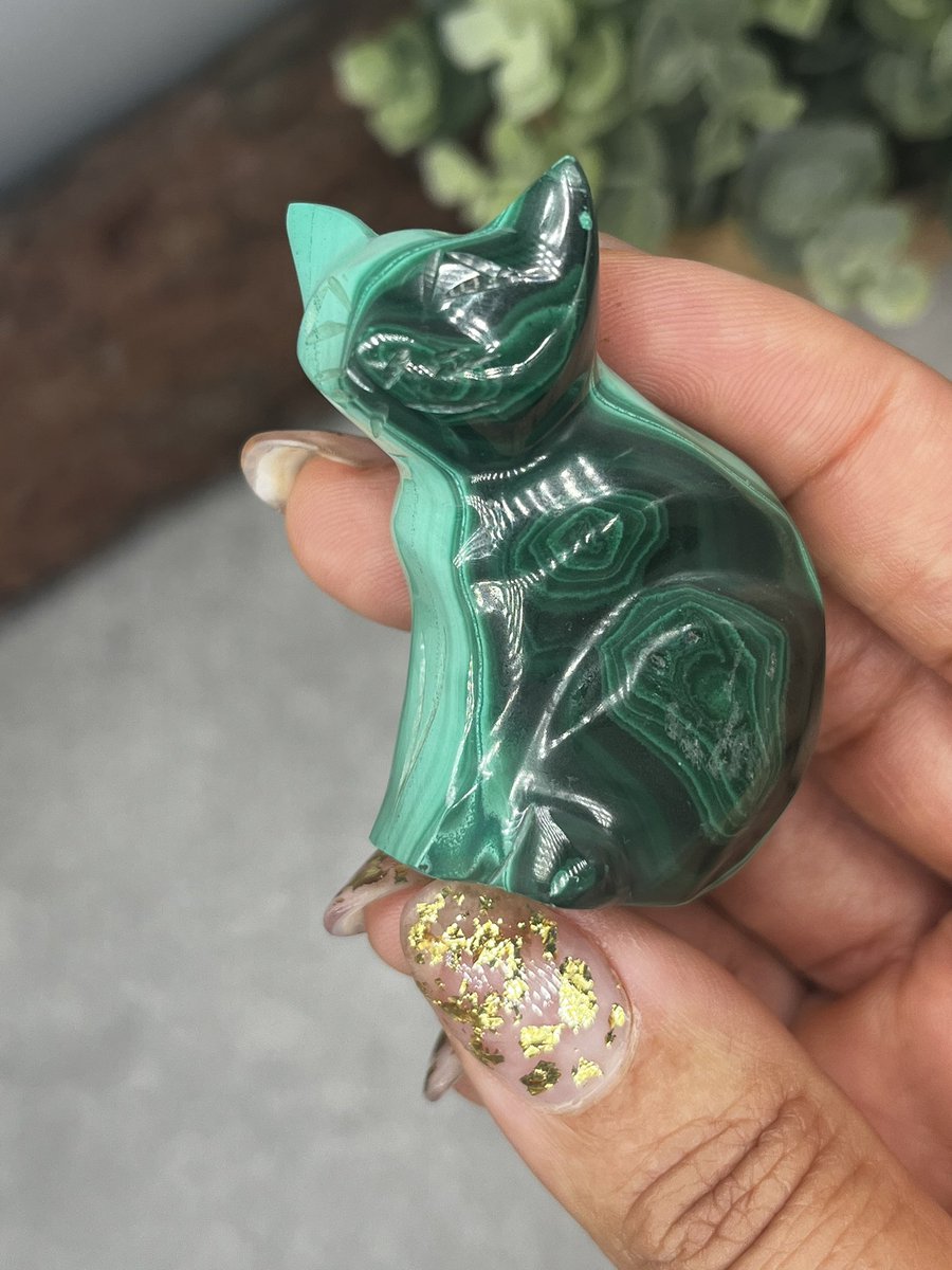 RutileUrban's tweet photo. #Malachite #Cat π Available now ππ½ https://t.co/b7rx9xTDes
#UrbanRutile #Crystals #Crystal #BlackOwnedShop #BlackOwnedBusiness #HealingCrystals #CrystalTowers #LargeCrystals #CrystalGifts #Chakra #TikTok #NaturalCrystals #RealCrystals #GenuineCrystals #MeditationCrystals #Insta https://t.co/UVti8RwxAj