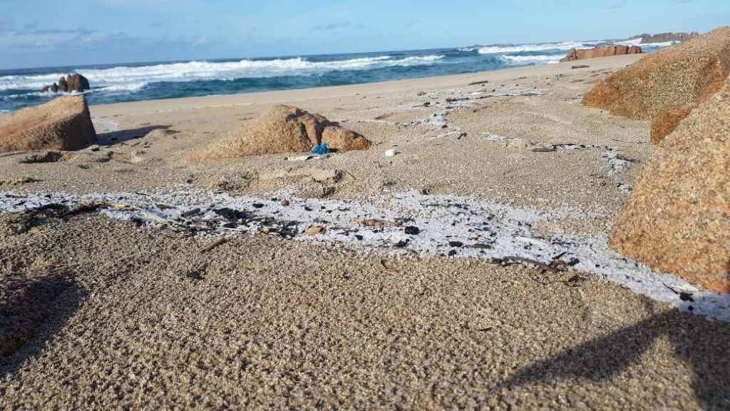 adrianrbravo's tweet photo. ⚠️ Atención ao chío 👇 unha catástrofe similar con #Pellets azotou no 2021 a costa de Sri Lanka 🇱🇰

As consecuencias sobre os seres vivos foi terríbel (segunda 📸). É lamentábel que ante esta situación a Xunta continúe pedindo “calma” e non tome medidas
#NuncaMáis #HaiQueBotalos https://t.co/bgJUNuQ9gM