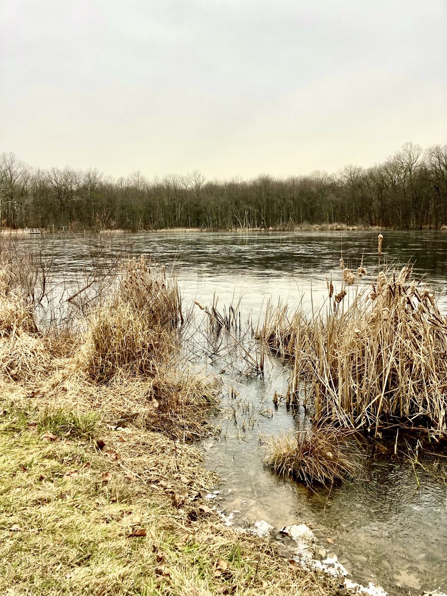 WheelAM6's tweet image. Frozen pond before the snow arrived.
#winter #water #pond #snow #photograghy #nature #outdoors