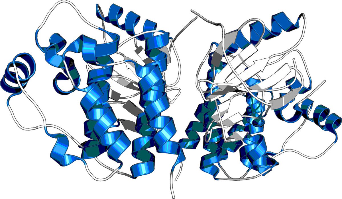 Fiona Marshall (@fionahmarshall) on Twitter photo I’m excited to share that we’re entering a strategic research collaboration with Isomorphic Labs to use state-of-the-art #AI technologies—including the next-gen model of AlphaFold—to discover novel small molecule therapeutics for select biological targets. storage.googleapis.com/isomorphiclabs… I’m excited to share that we’re entering a strategic research collaboration with Isomorphic Labs to use state-of-the-art #AI technologies—including the next-gen model of AlphaFold—to discover novel small molecule therapeutics for select biological targets. storage.googleapis.com/isomorphiclabs…