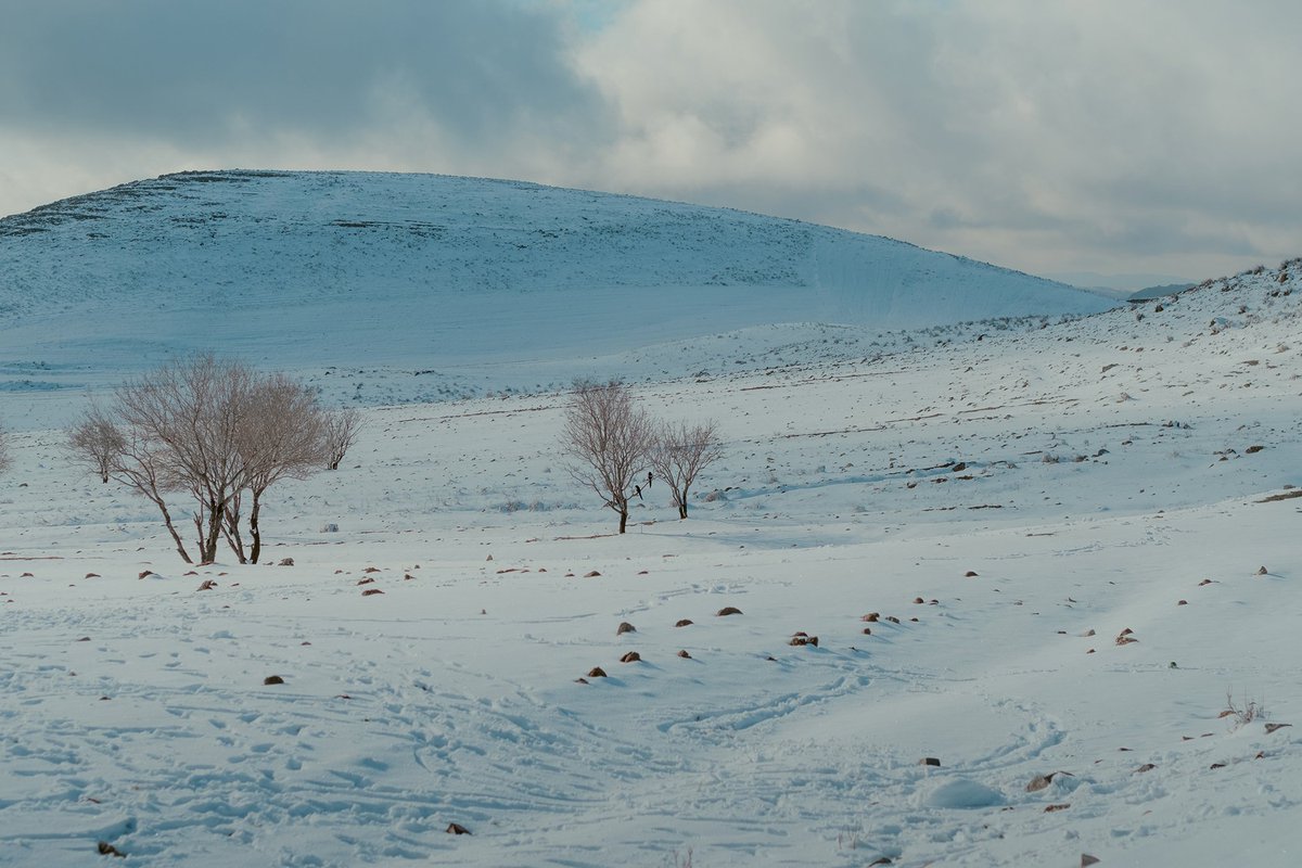 Winter is here! today with Maedeh