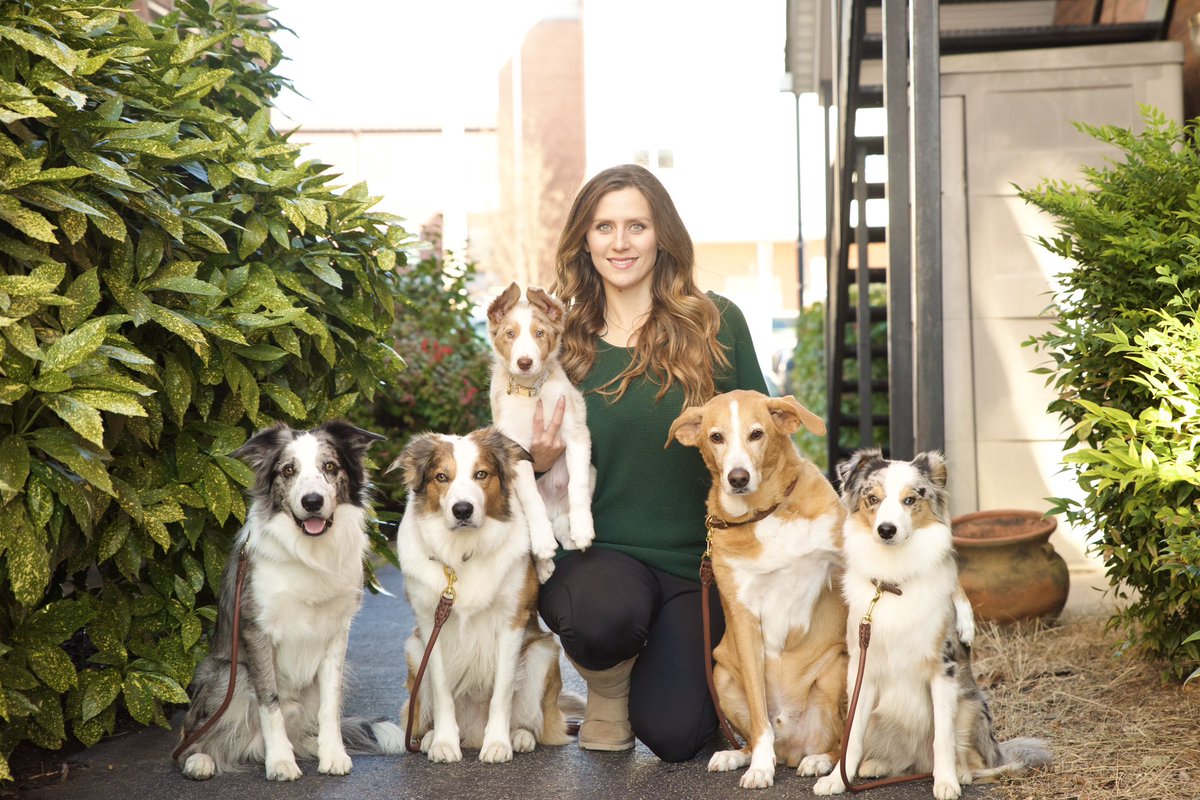ChrissyJoy's tweet photo. Happy weekend from The Joy Crew 🐾 https://t.co/OFPiuXjLl2