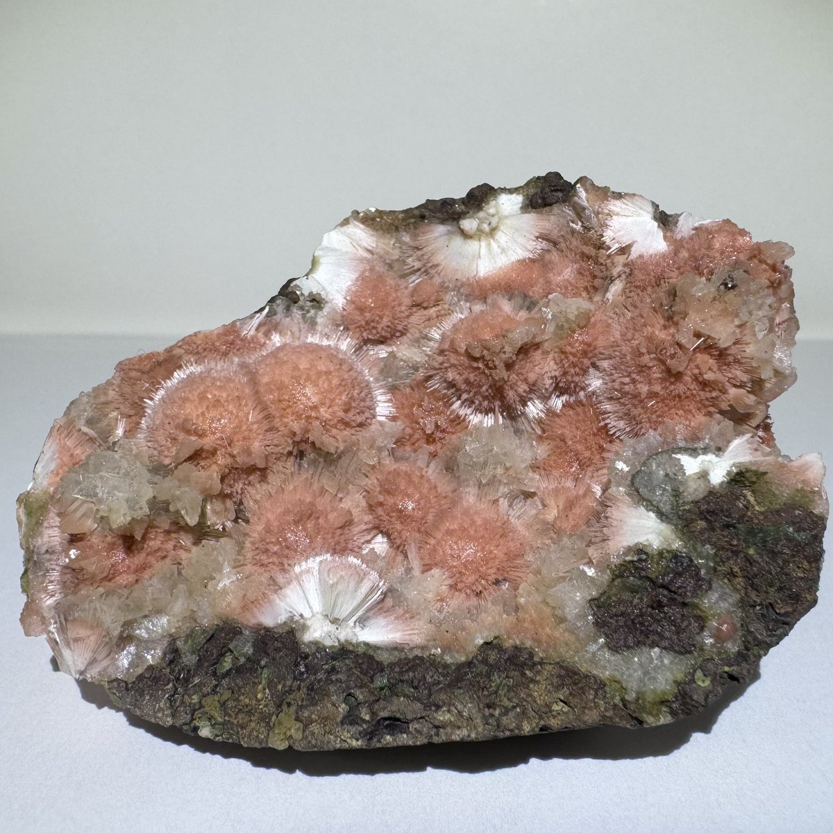 exoticcrystals's tweet photo. 🧡Rare Orange Thomsonite with Mesolite & Heulandite Crystal Specimen from Madhya, Pradesh, India⚜️ #thomsonite #minerals #mesolite #India https://t.co/omptRT6GtO
