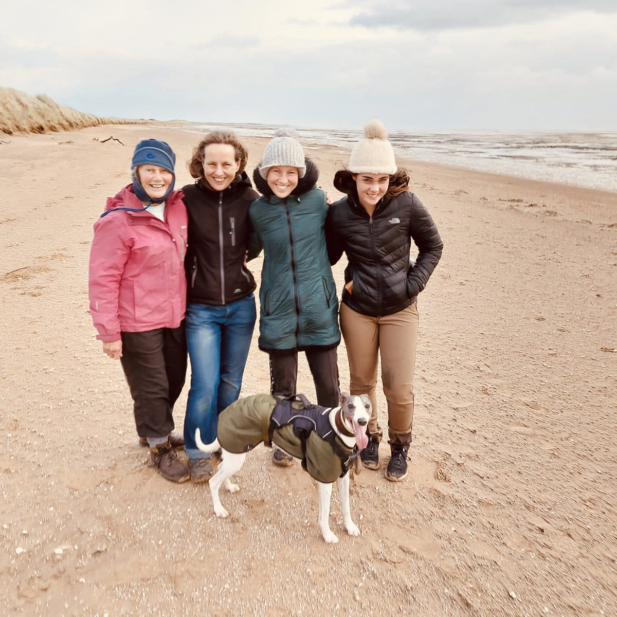 Hi everyone! Decided to share more of my adventures again. This is me on a Christmas Day walk with the ladies in my family. I like it when they don’t go to work. Woof!
